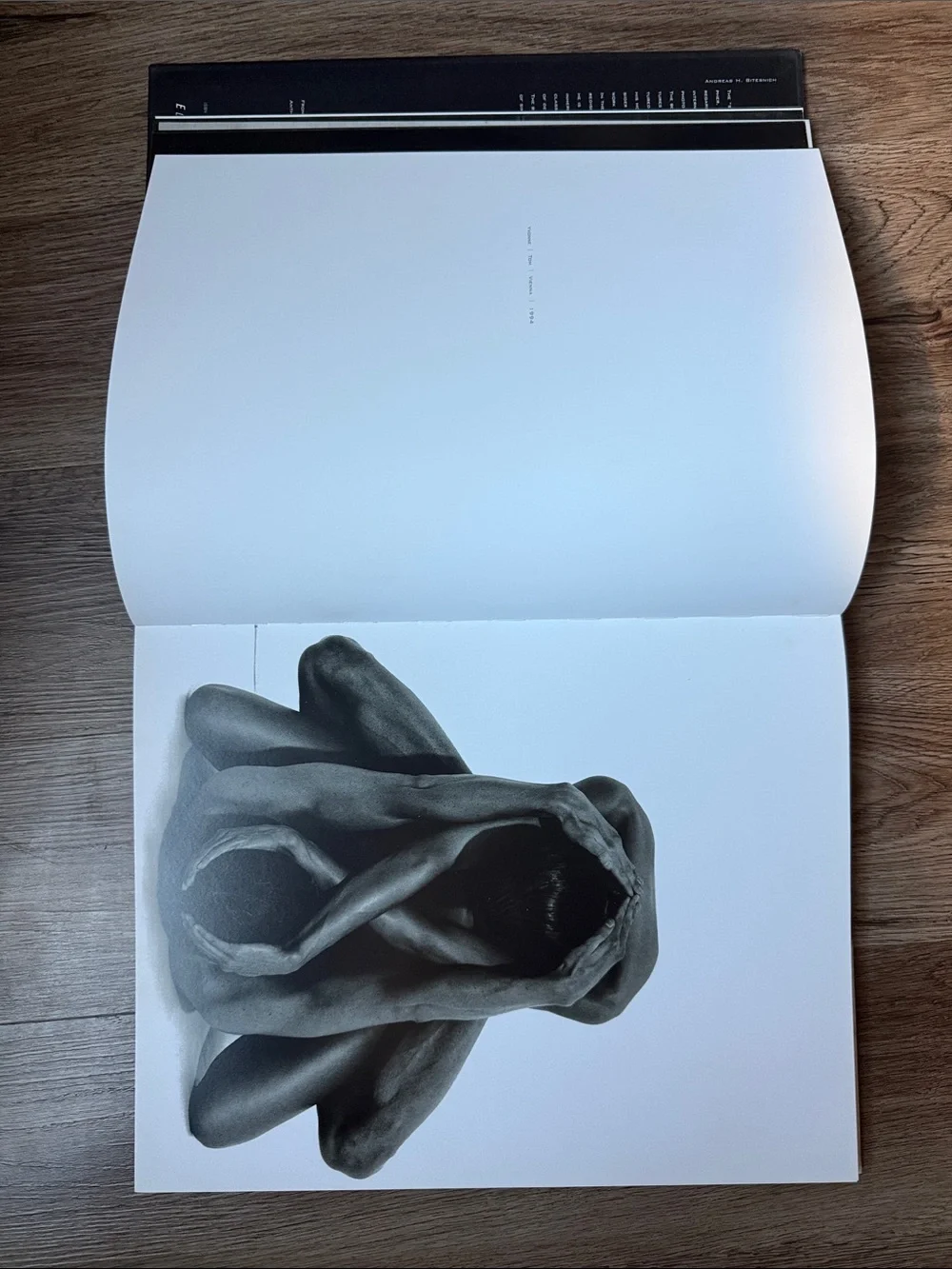 Andreas H. Bitesnich: Nudes Hardcover Photography Monograph